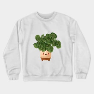 Plant Illustration, Lemon Lime Prayer Plant - Maranta 3 Crewneck Sweatshirt